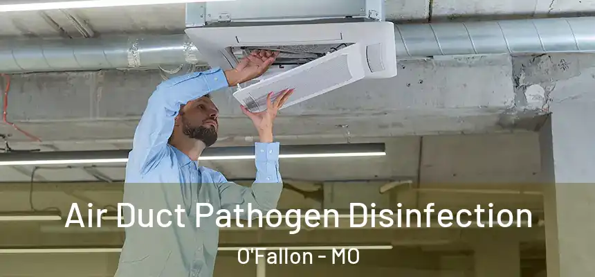 Air Duct Pathogen Disinfection O'Fallon - MO