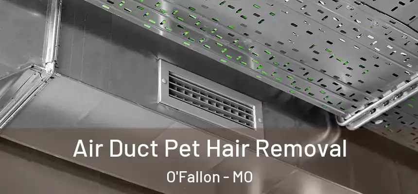 Air Duct Pet Hair Removal O'Fallon - MO