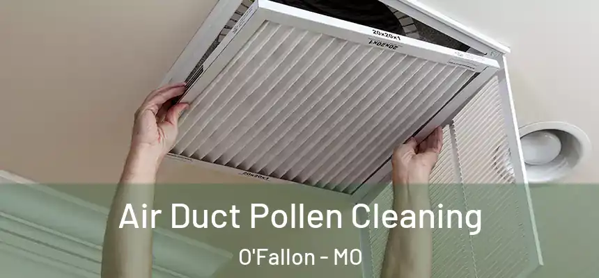 Air Duct Pollen Cleaning O'Fallon - MO