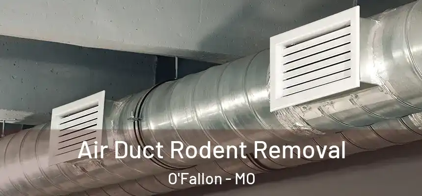 Air Duct Rodent Removal O'Fallon - MO