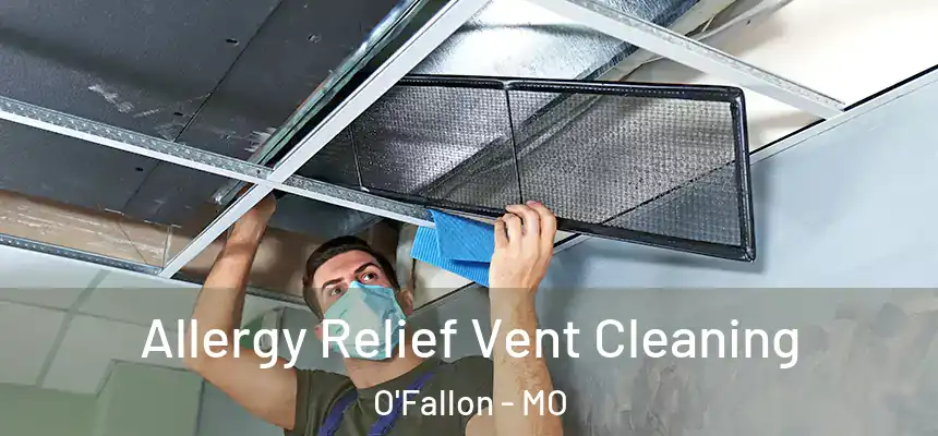 Allergy Relief Vent Cleaning O'Fallon - MO