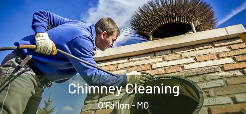 Chimney Cleaning O'Fallon - MO