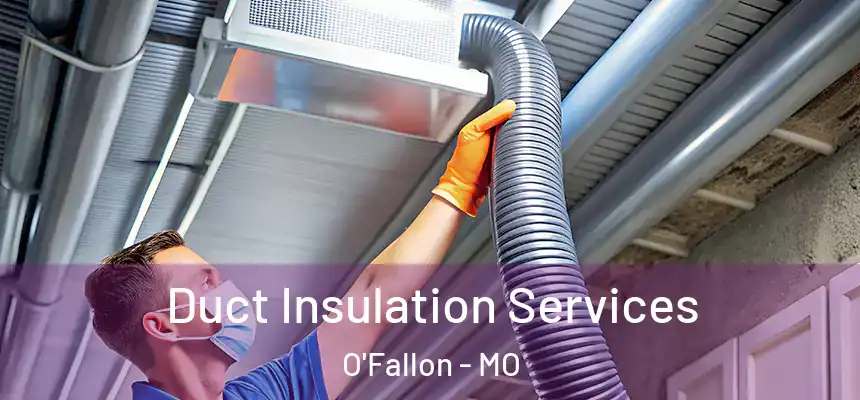 Duct Insulation Services O'Fallon - MO
