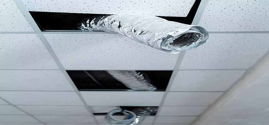 Our Air Duct Pet Hair Removal Services in O'Fallon, MO