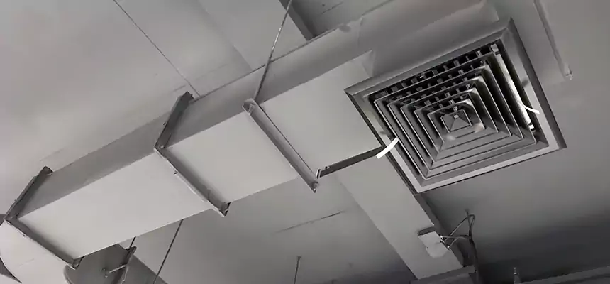 Restorative Allergy Relief Vent Cleaning – Coil, Blower & Housing Detail in O'Fallon