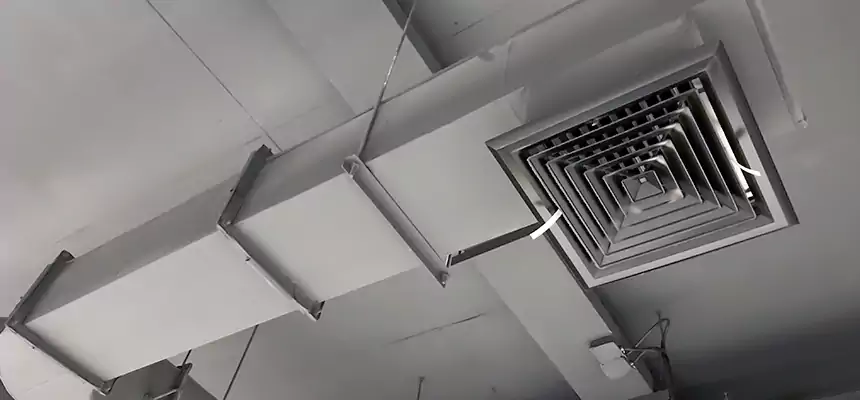 Our Pest Removal From Ducts Services in O'Fallon, MO