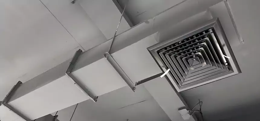 Our Rodent Droppings In Vents Services in O'Fallon, MO