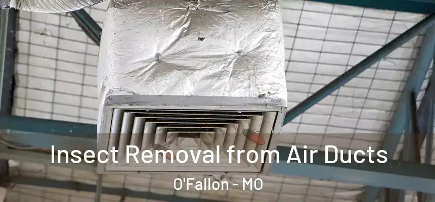 Insect Removal from Air Ducts O'Fallon - MO