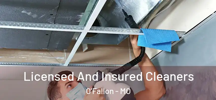 Licensed And Insured Cleaners O'Fallon - MO