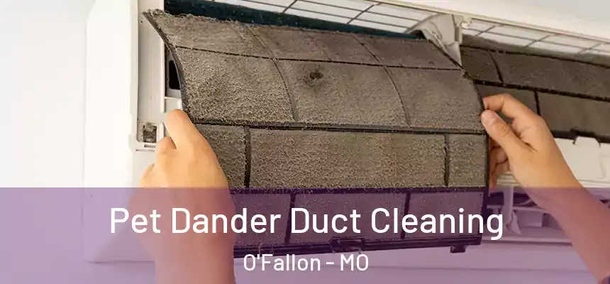 Pet Dander Duct Cleaning O'Fallon - MO