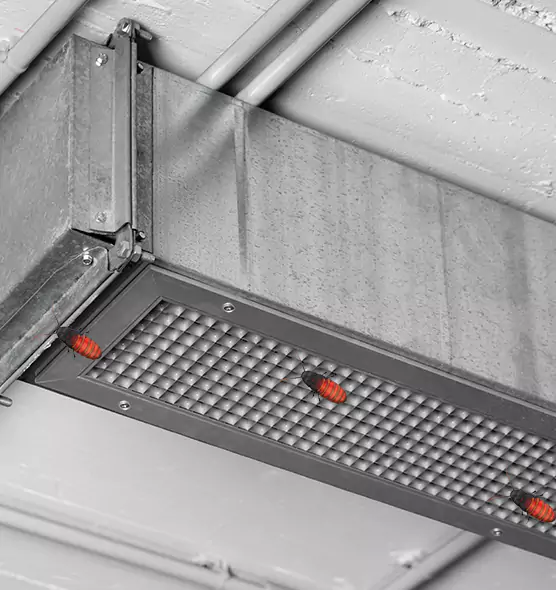 About Air Duct Cockroach Removal in O'Fallon, MO