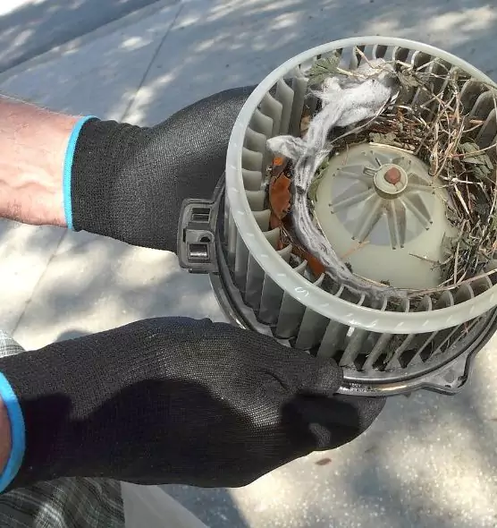 About Air Duct Mice Removal in O'Fallon, MO