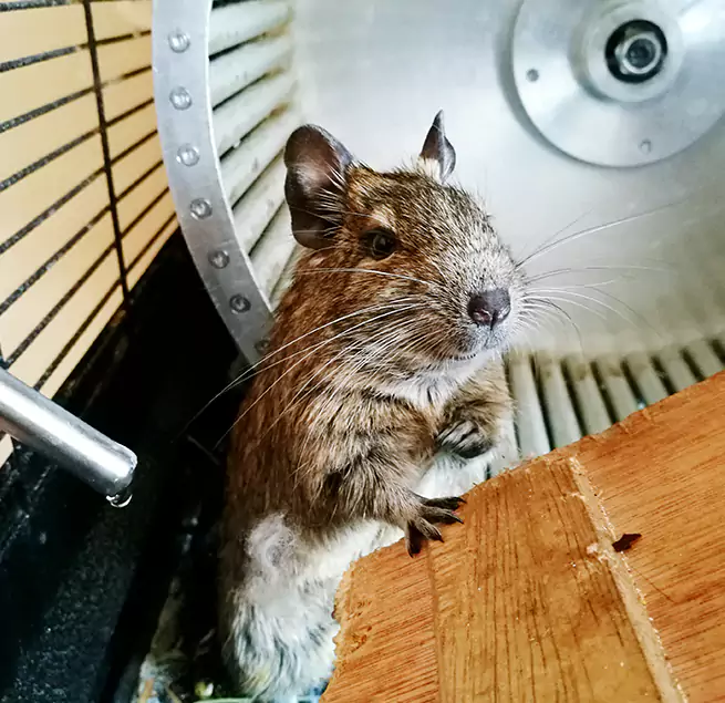 Why Homeowners & Businesses Trust Us O'Fallon, MO