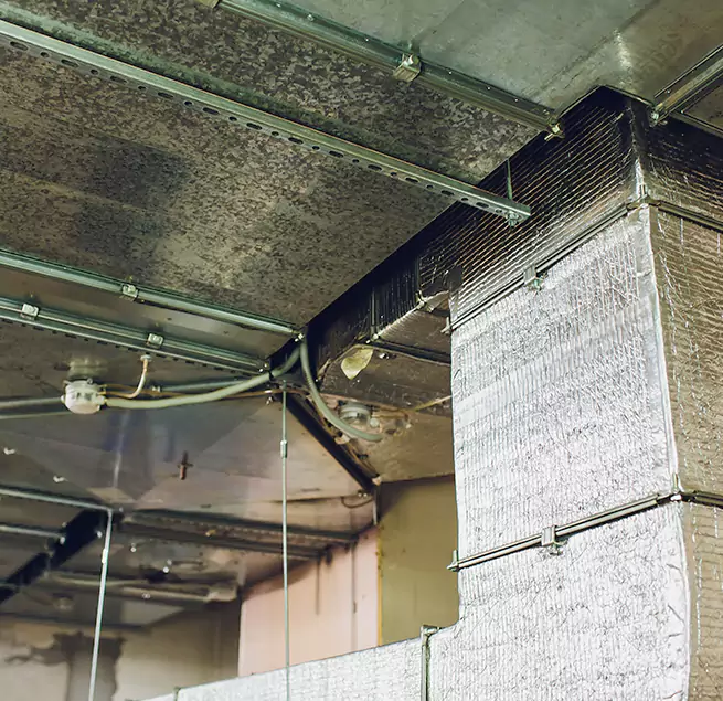 Why Homeowners & Businesses Trust Us in O'Fallon, MO?