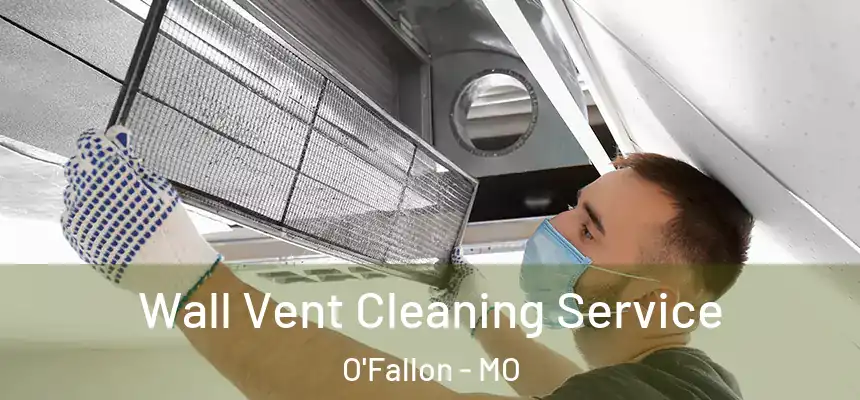 Wall Vent Cleaning Service O'Fallon - MO